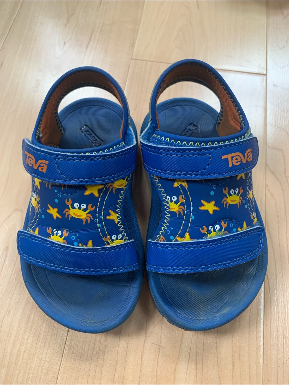 Teva Little Kids Blue Crab & Starfish Sandals with Orange Logo size 9